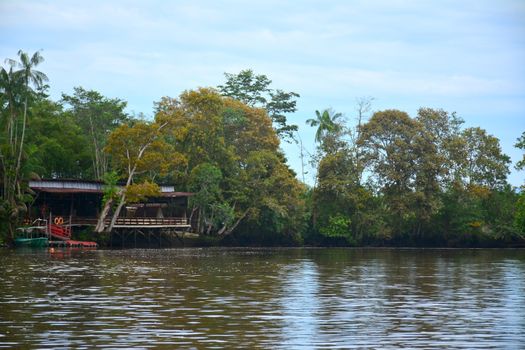 KOTA KINABALU, MY - JUNE 20: Klias River on June 20, 2016 in Malaysia. Klias river is a Mangrove Forest Reserve and a ecotourism destination wherein you can see proboscis monkey in the trees.