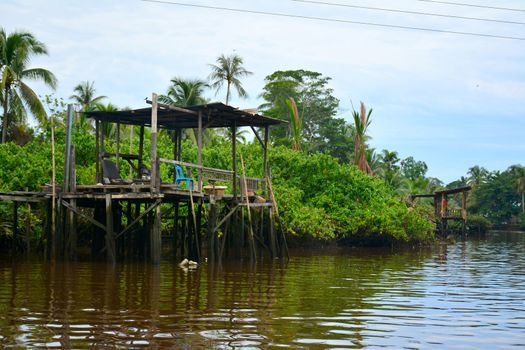 KOTA KINABALU, MY - JUNE 20: Klias River on June 20, 2016 in Malaysia. Klias river is a Mangrove Forest Reserve and a ecotourism destination wherein you can see proboscis monkey in the trees.