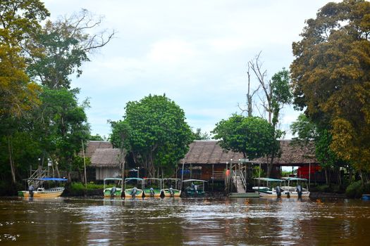 KOTA KINABALU, MY - JUNE 20: Klias River on June 20, 2016 in Malaysia. Klias river is a Mangrove Forest Reserve and a ecotourism destination wherein you can see proboscis monkey in the trees.