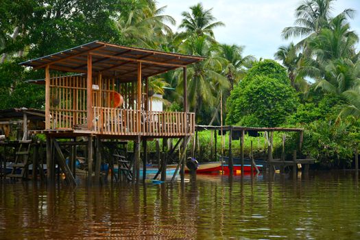KOTA KINABALU, MY - JUNE 20: Klias River on June 20, 2016 in Malaysia. Klias river is a Mangrove Forest Reserve and a ecotourism destination wherein you can see proboscis monkey in the trees.