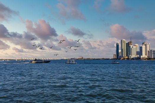 Luxury Yachts in Biscayne Bay in Miami Florida