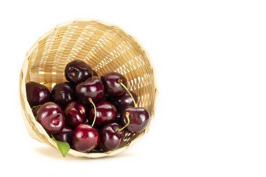 A bunch of ripe red cherries in a weave bamboo basket. Isolated on white background.