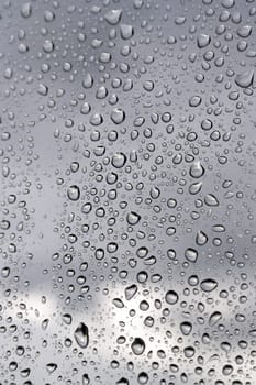 Drops of rain on the window. Shallow DOF.