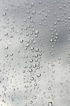 Drops of rain on the window. Shallow DOF.