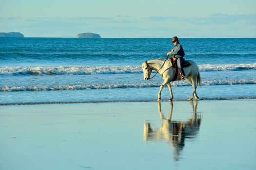 Holidays at the sea; winter time in New Zealand; riding a horse at a seashore