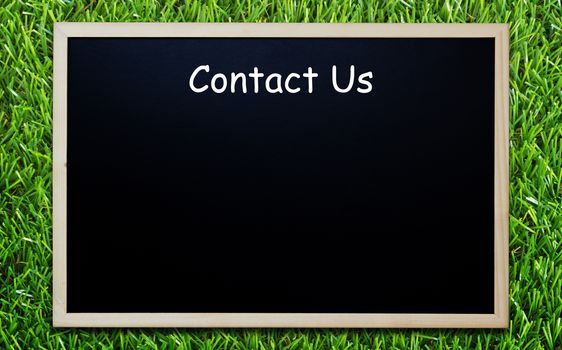Website and internet contact us concept, customer service, blackboard on green grass background, copy space
