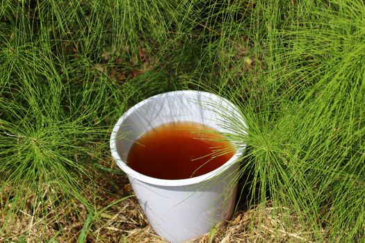 The picture shows liquid manure from horsetail in a horsetail field