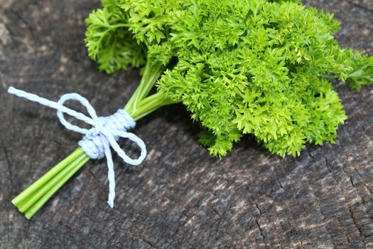 The picture shows a bunch of parsley on an old weathered tree trunk