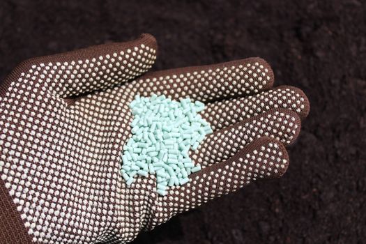The picture shows snail pellets in a hand with gloves