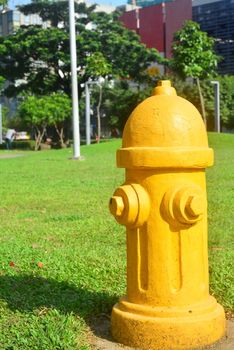 Yellow Fire Hydrant Reserve in the Park