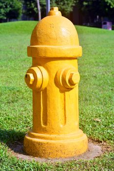 Yellow Fire Hydrant Reserve in the Park