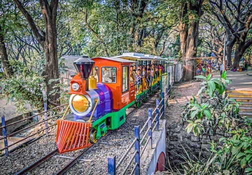 Chugging her way through decades, on the same loops and curves, the iconic toy train - fulrani , glistens in the bright sunlight, her vibrant blue, red, yellow and green colours beckoning the children to take a ride with her.