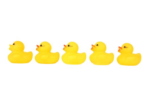 Five yellow plastic rubber duck in a row cut out on and isolated on a white backgroun