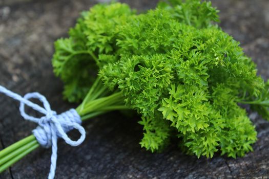 The picture shows a bunch of parsley on an old weathered tree trunk