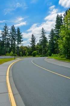 Asphalt road curve leading to the forest