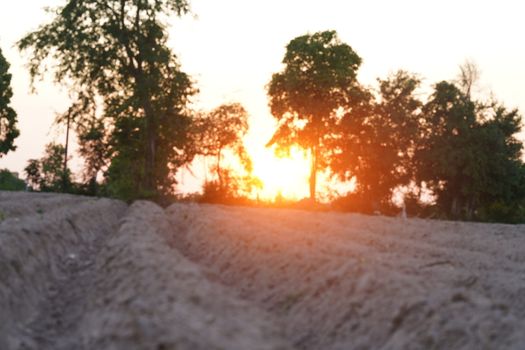The land area that is prepared because of the planting of agriculture when the sky is clear at the setting sun in Thailand.