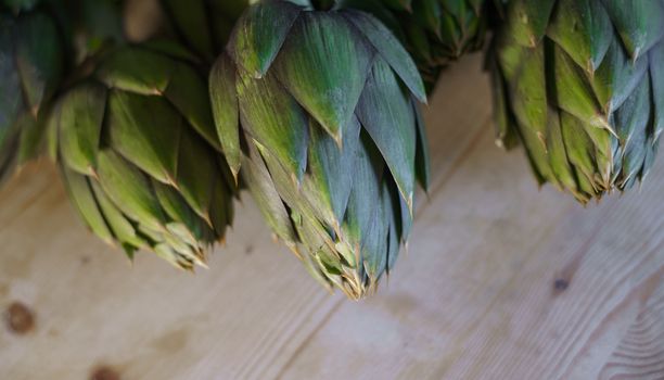 Close up of thorns leaves of the artichokes freshly picked by the farmer laid on a wooden table and illuminated by sunlight, vegan and mediterranean cuisine ingredients
