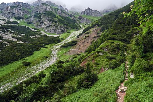A mountain slope with a mountain pine and limestone rocks in the mountains Tatry in Poland