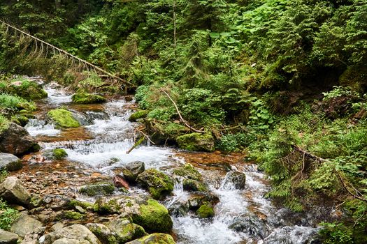 Boulders and rapid stream in the forest in the valley in the Tatra Mountains in Poland
