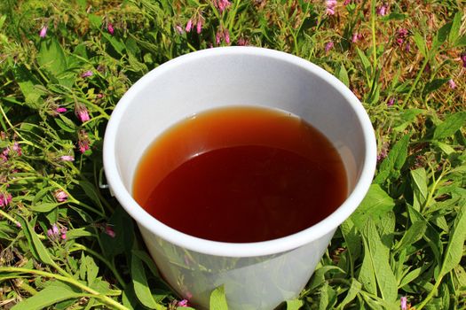 The picture shows liquid manure from comfrey in a comfrey field