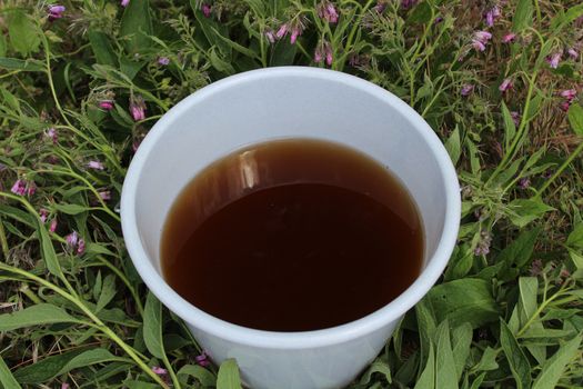 The picture shows liquid manure from comfrey in a comfrey field