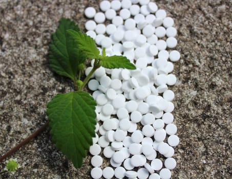 The picture shows candy leaf and sweetener on a stone floor