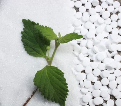 The picture shows candy leaf, sugar and sweetener on a stone floor