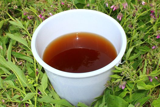 The picture shows liquid manure from comfrey in a comfrey field