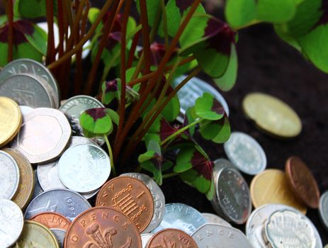 The picture shows coins from foreign countries and lucky clover