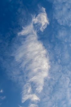 Seahorse shaped stunning cirrus cloud formation panorama in a deep blue summer sky seen over Europe