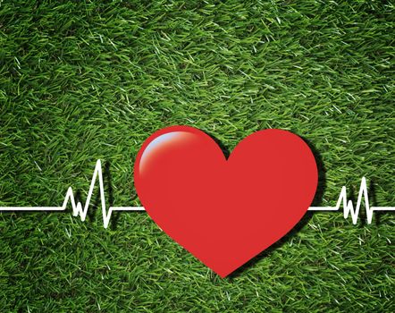 Health care and insurance concept, heart on green grass background