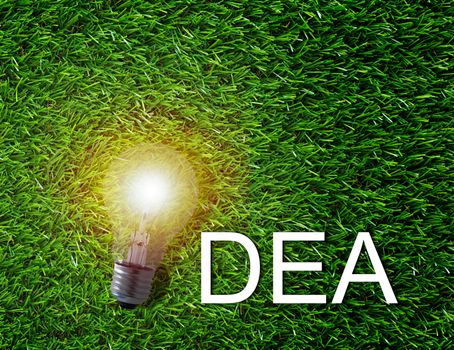 Idea concept, light bulb and white text on green grass background