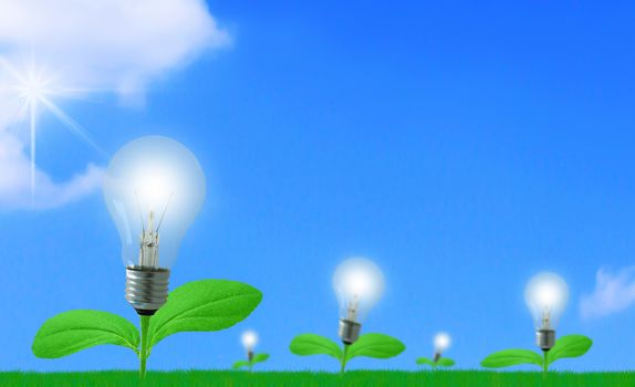 Idea and inspiration concept, business creativity, green ecology light bulb plant