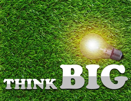 Think big concept, light bulb on green grass background