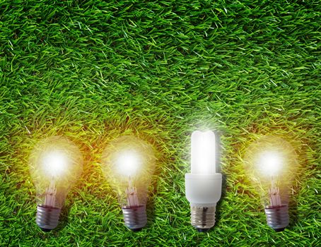 Think different concept, group of light bulb on green grass background