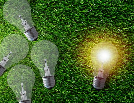 Think different concept, group of light bulb on green grass background