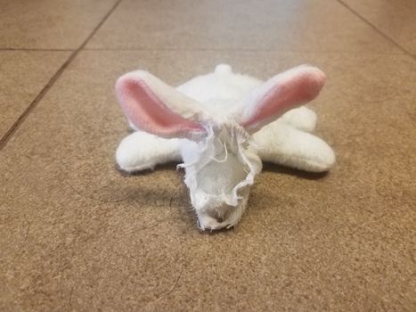 white bunny dog toy with face bitten off on tiled floor