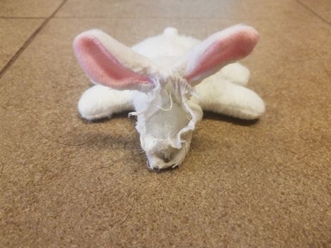 white bunny dog toy with face bitten off on tiled floor