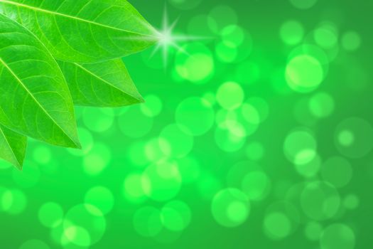 Leaf on green bokeh background, ecology concept, modern style  