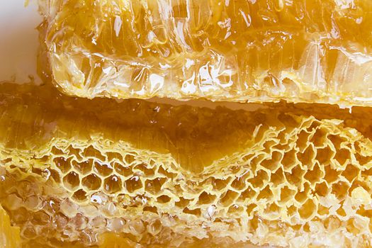 Slice of honeycombs with organic honey closeup