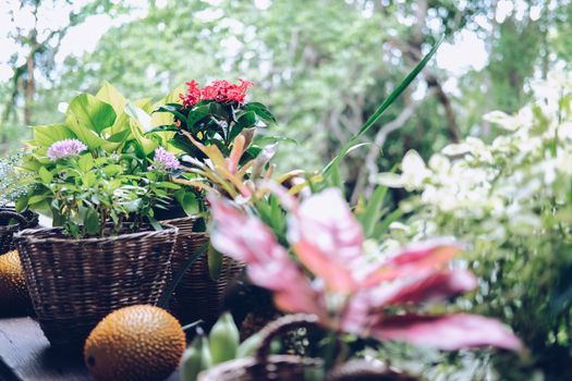 flower & green plant leaves in wicker basket decorating on terrace balcony