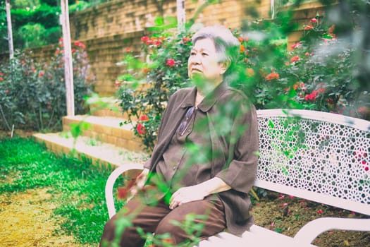 elder woman resting in rose flower garden. asian elderly female relaxing outdoors. senior leisure lifestyle
