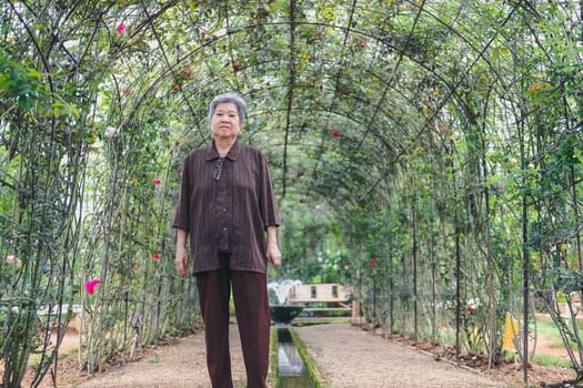 elder woman resting in rose flower garden. asian elderly female relaxing outdoors. senior leisure lifestyle