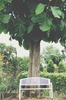 white metal iron bench seat chair under big tree in rose garden park in spring summer