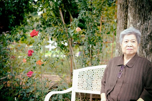 elder woman resting in rose flower garden. asian elderly female relaxing outdoors. senior leisure lifestyle