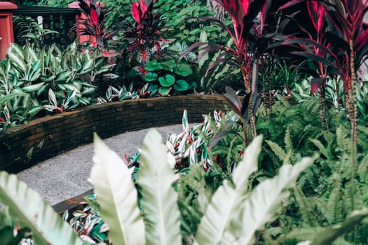 red green plant leaves beside walkway pathway in garden park. tranquil nature scene