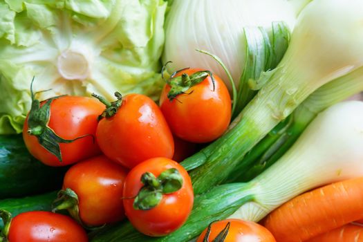 Healthy nutrition with fresh raw vegetables: a low angle close up view of a group of salad ingredients, lettuce, tomatoes, cucumbers, fennel, spring onions, and carrots