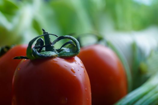 Healthy nutrition with fresh raw vegetables: close up detail of a tomato in the foreground on green vegetables in background bokeh effect