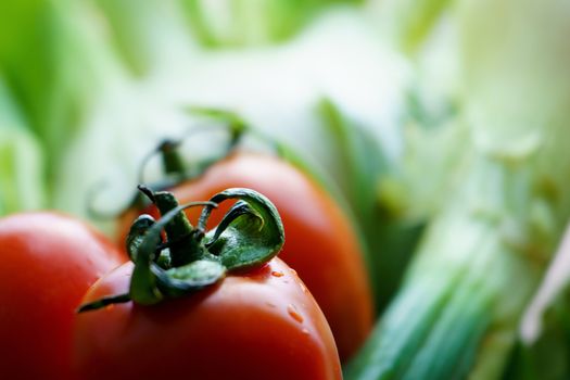 Healthy nutrition with fresh raw vegetables: close up detail of a tomato in the foreground on green vegetables in background bokeh effect