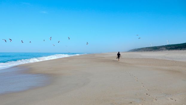 Single man solo traveller walking on rhe shore of the ocean beach with group of seagull in the blue sky - Praia do Norte Portugal